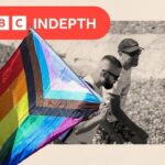 Corporate Support for Pride Faces Internal and External Backlash Corporate Support for Pride Faces Internal and External Backlash