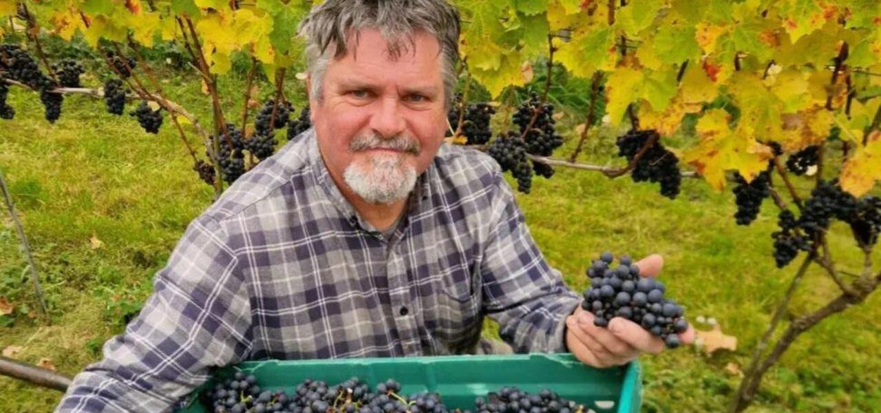 Ireland’s Emerging Vineyards: A New Frontier in Wine Production Ireland’s Emerging Vineyards: A New Frontier in Wine Production