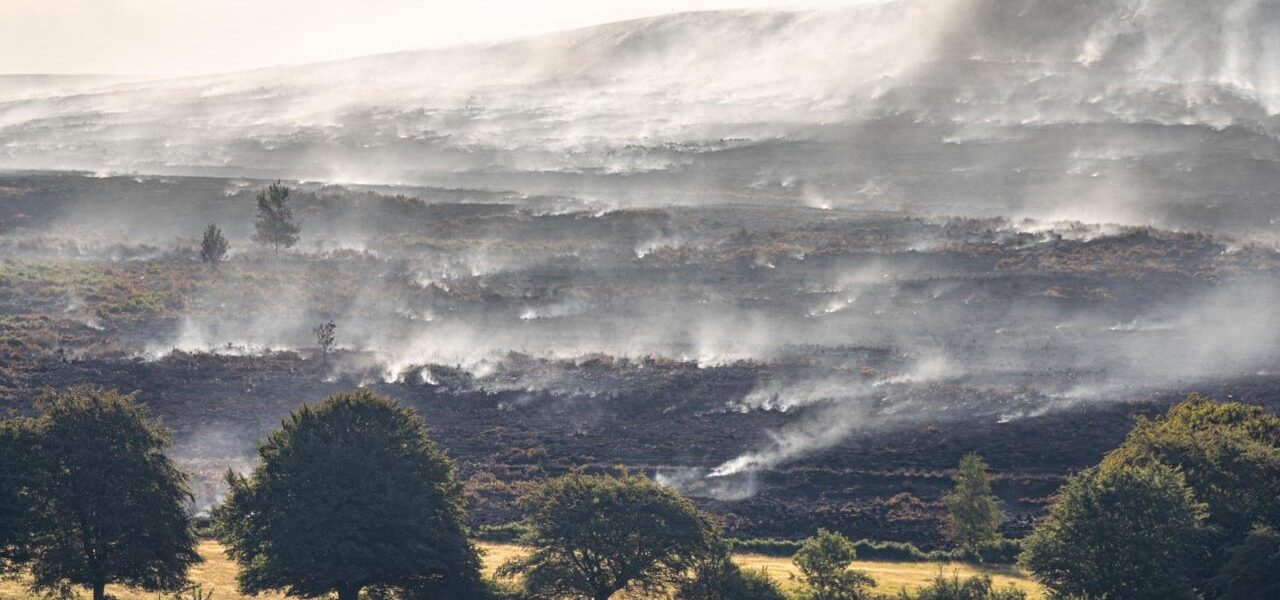 Welsh County Emerges as Global Carbon Hotspot Following Wildfires Welsh County Emerges as Global Carbon Hotspot Following Wildfires