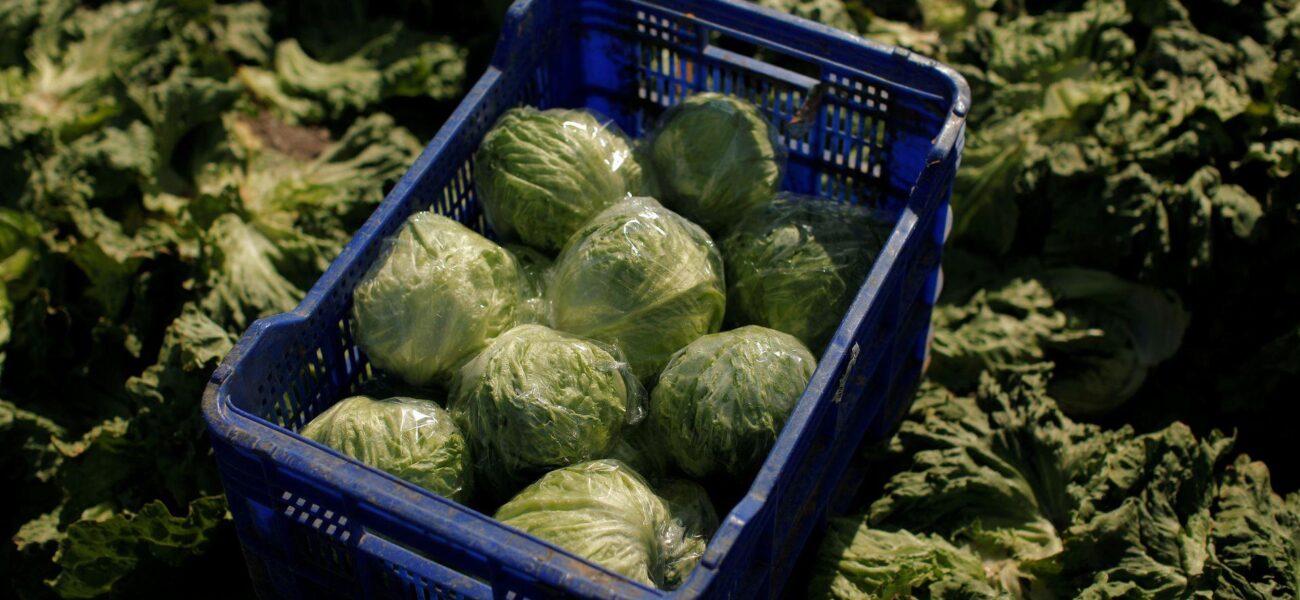 US Food Distributor Cuts Suppliers Amid Rising ‘Explosive Diarrhea’ Cases US Food Distributor Cuts Suppliers Amid Rising ‘Explosive Diarrhea’ Cases