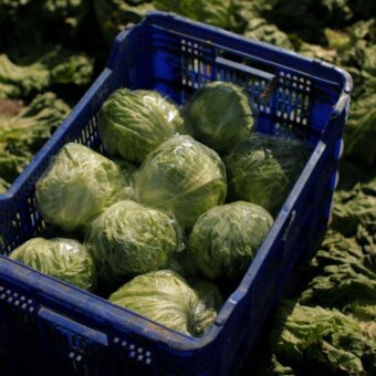US Food Distributor Cuts Suppliers Amid Rising ‘Explosive Diarrhea’ Cases US Food Distributor Cuts Suppliers Amid Rising ‘Explosive Diarrhea’ Cases