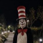 TikTok ‘Cat in the Hat’ Trend: Fake Videos Prompt Police Warnings TikTok ‘Cat in the Hat’ Trend: Fake Videos Prompt Police Warnings