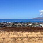 Torfaen County in Wales Becomes Global Carbon Emission Hotspot After Wildfires