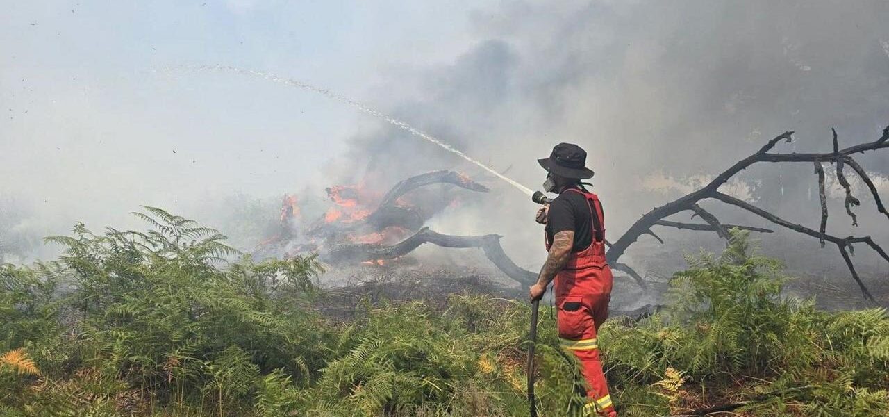 New Forest Wildfire Rages On Amid Rising Temperatures New Forest Wildfire Rages On Amid Rising Temperatures