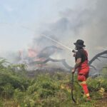 New Forest Wildfire Rages On Amid Rising Temperatures