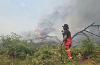 New Forest Wildfire Rages On Amid Rising Temperatures