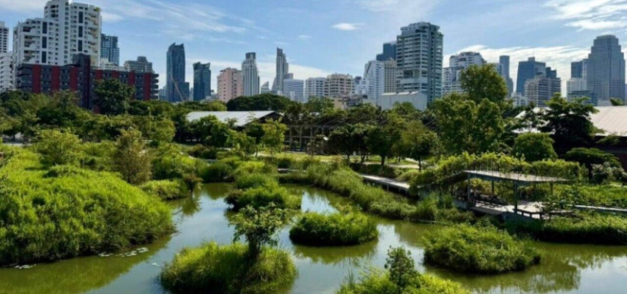 Bangkok’s Urban Green Revival: Pandemic-Driven Transformation Bangkok’s Urban Green Revival: Pandemic-Driven Transformation