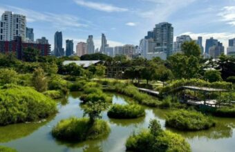 Bangkok’s Urban Green Revival: Pandemic-Driven Transformation