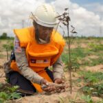 Demining Efforts in Southeast Asia Hindered by Donor Fatigue and Conflict