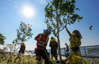 Hong Kong Faces Urgent Call to Overhaul Heat Stress Warning System Hong Kong Faces Urgent Call to Overhaul Heat Stress Warning System