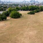 UK Weather Alert: No Relief for Drought-Stricken South East UK Weather Alert: No Relief for Drought-Stricken South East