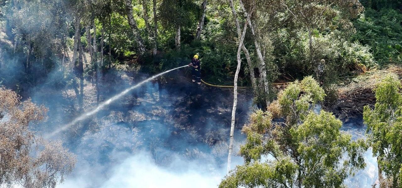 Peatland Fires Pose Extreme Danger to Firefighters: ‘Like Boiling in a Bag’ Peatland Fires Pose Extreme Danger to Firefighters: ‘Like Boiling in a Bag’