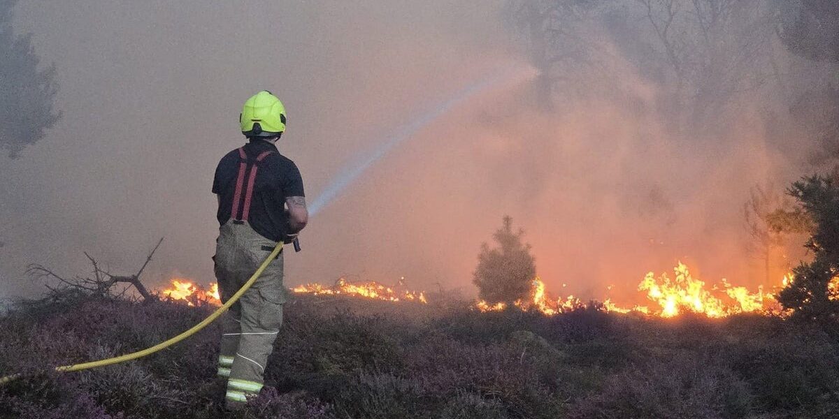 Climate Crisis: Extreme Heat Threatens British Wildlife and Landscapes Climate Crisis: Extreme Heat Threatens British Wildlife and Landscapes