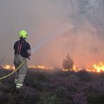 Climate Crisis: Extreme Heat Threatens British Wildlife and Landscapes Climate Crisis: Extreme Heat Threatens British Wildlife and Landscapes