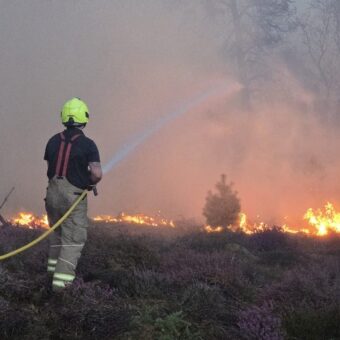 Climate Crisis: Extreme Heat Threatens British Wildlife and Landscapes