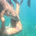 Influencer Tayane Dalazen Attacked by Shark During Brazil Dive