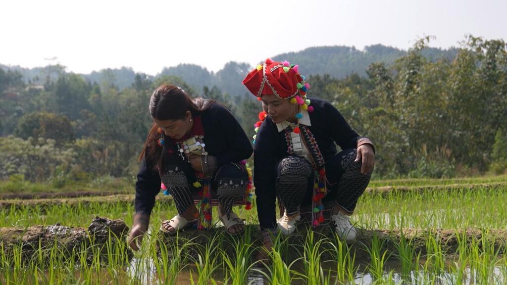 Vietnam’s Hmong People Confront Climate Crisis in Mountainous North Vietnam’s Hmong People Confront Climate Crisis in Mountainous North