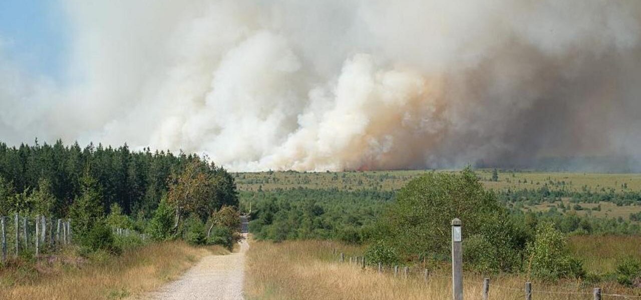 Belgium’s Worst Wildfire in Years Ravages Nature Reserve Belgium’s Worst Wildfire in Years Ravages Nature Reserve