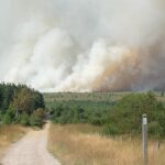Belgium’s Worst Wildfire in Years Ravages Nature Reserve Belgium’s Worst Wildfire in Years Ravages Nature Reserve