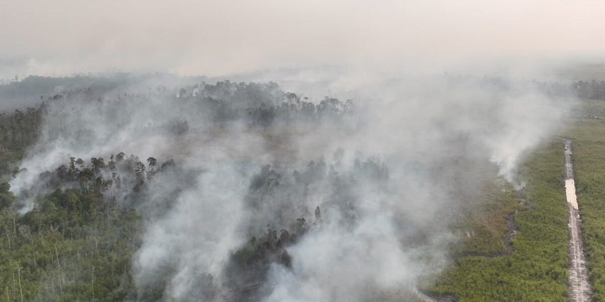 Indonesian Authorities Arrest 72 Individuals Suspected in Forest Fires Indonesian Authorities Arrest 72 Individuals Suspected in Forest Fires
