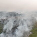 Indonesian Authorities Arrest 72 Individuals Suspected in Forest Fires