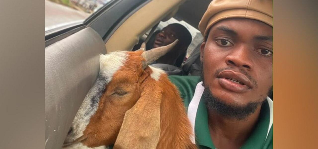 Viral Sensation: The Unlikely Graduation Gift – A Goat