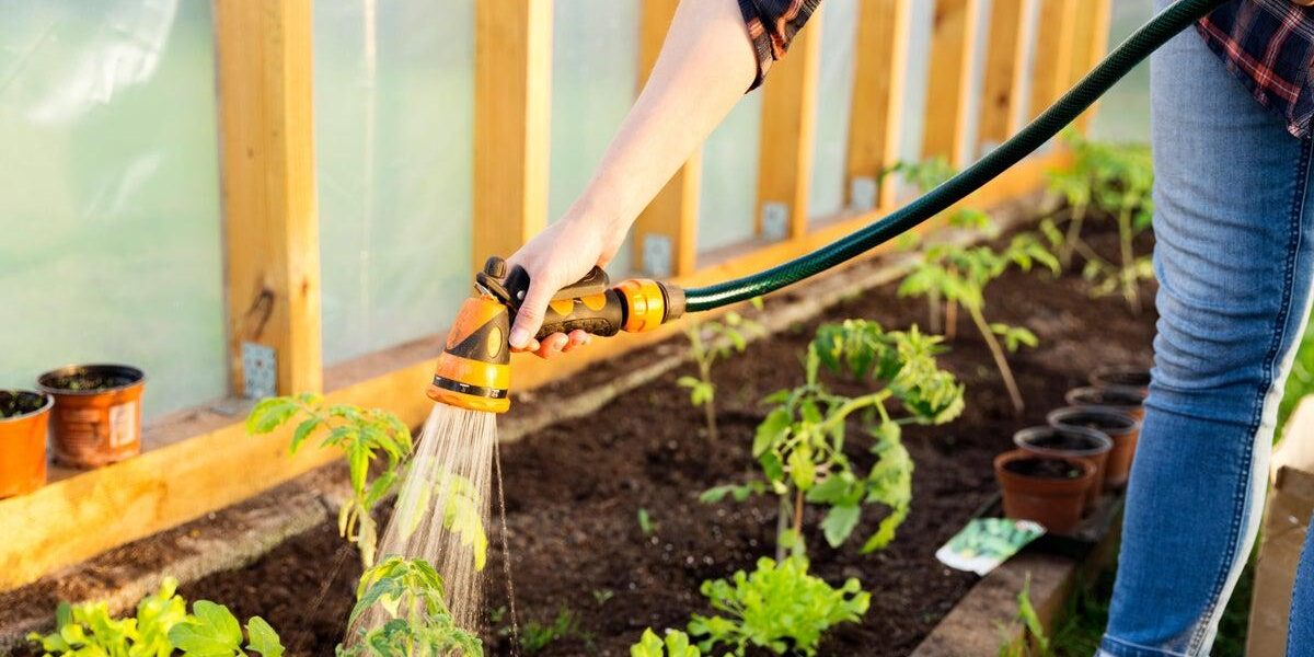 Public Outrage Erupts Over Hosepipe Ban by Sewage-Spill Company Public Outrage Erupts Over Hosepipe Ban by Sewage-Spill Company