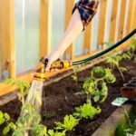 Public Outrage Erupts Over Hosepipe Ban by Sewage-Spill Company