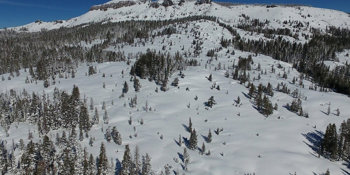 Blackbird Mountain Guides Fined 0K Following California’s Deadliest Modern Avalanche Blackbird Mountain Guides Fined 0K Following California’s Deadliest Modern Avalanche