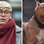 Defendant Claims XL Bully Dog Not Prone to Aggression in Fatal Attack Trial