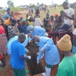 Ebola Outbreak in DR Congo: Death Toll Surpasses 2,500 as Crisis Hits 100 Days Ebola Outbreak in DR Congo: Death Toll Surpasses 2,500 as Crisis Hits 100 Days