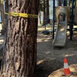 Investigation Uncovers Possible Deliberate Tree Poisoning at Private Beach Community