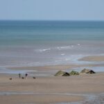 Urgent Search Underway for Missing 13-Year-Old Boy Off East Yorkshire Coast