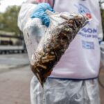 Denver Sues Big Tobacco for Cleanup Costs of Cigarette Butts Denver Sues Big Tobacco for Cleanup Costs of Cigarette Butts