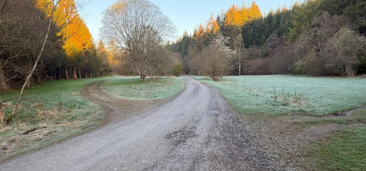 Environment Agency Opposes Hamsterley Forest Campsite Over Flooding Risks Environment Agency Opposes Hamsterley Forest Campsite Over Flooding Risks