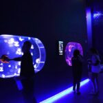 First US Jellyfish Museum Opens, Featuring Hypnotic Marine Predators