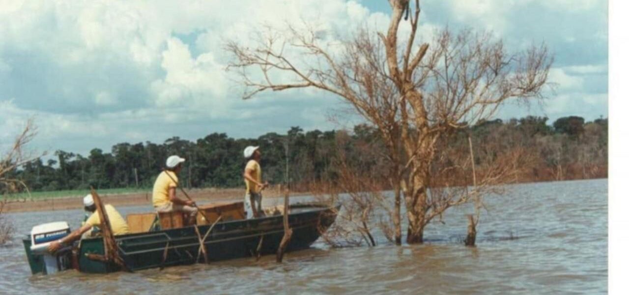 Urgent Wildlife Rescue Amid Itaipu Dam Construction in 1982 Urgent Wildlife Rescue Amid Itaipu Dam Construction in 1982