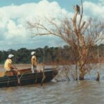 Urgent Wildlife Rescue Amid Itaipu Dam Construction in 1982 Urgent Wildlife Rescue Amid Itaipu Dam Construction in 1982