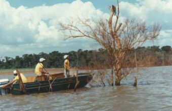 Urgent Wildlife Rescue Amid Itaipu Dam Construction in 1982