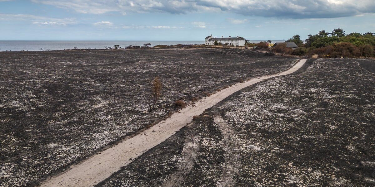 UK Faces Unprecedented Wildfire Surge Amid 2026 Heatwave UK Faces Unprecedented Wildfire Surge Amid 2026 Heatwave