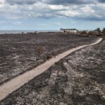 UK Faces Unprecedented Wildfire Surge Amid 2026 Heatwave UK Faces Unprecedented Wildfire Surge Amid 2026 Heatwave