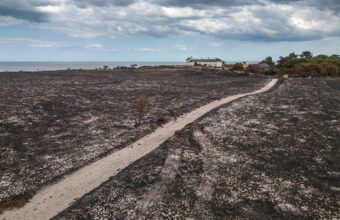 UK Faces Unprecedented Wildfire Surge Amid 2026 Heatwave