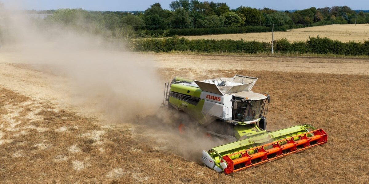 UK Farmers Face Crisis Amid Heatwave-Induced Financial Strain