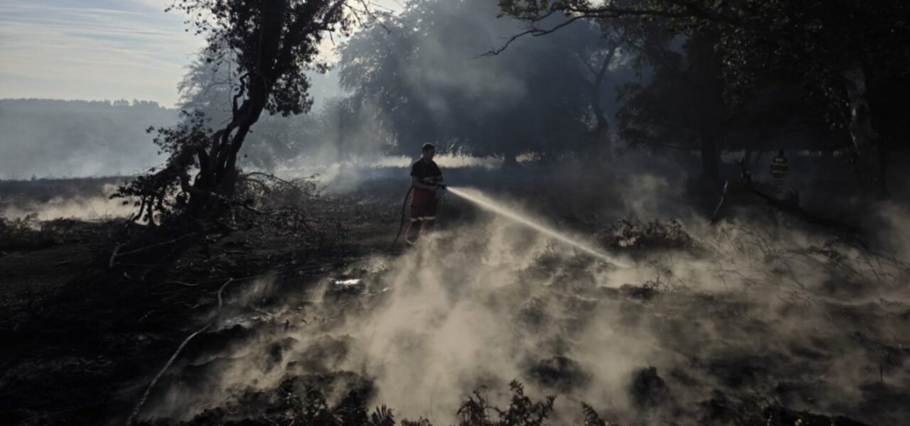New Forest Wildfire Fully Contained, Fire Service Confirms New Forest Wildfire Fully Contained, Fire Service Confirms