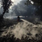 New Forest Wildfire Fully Contained, Fire Service Confirms New Forest Wildfire Fully Contained, Fire Service Confirms