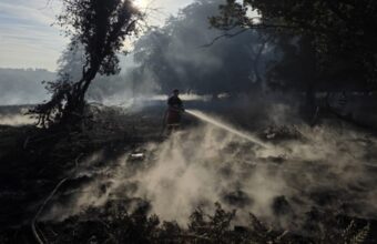 New Forest Wildfire Fully Contained, Fire Service Confirms
