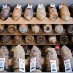 Wildfires Uncover WWII Bombs Across Europe, Posing New Threat Wildfires Uncover WWII Bombs Across Europe, Posing New Threat