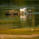 Central Europe Records Scorching Heat as Slovakia and Austria Hit All-Time Highs