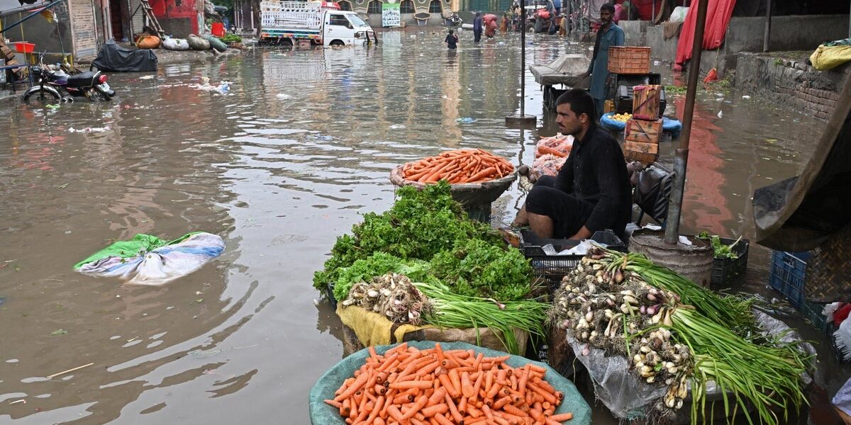 Wealthy Nations Urged to Learn from Pakistan’s Water Scarcity Solutions Ahead of Super El Nino Wealthy Nations Urged to Learn from Pakistan’s Water Scarcity Solutions Ahead of Super El Nino