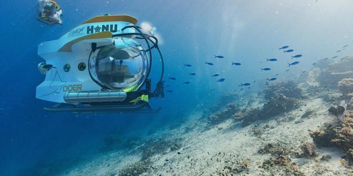 Renowned Oceanographer Sylvia Earle Issues Urgent Warning on Ocean Health